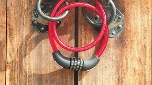 [고양이 눈]천하무적 3중 잠금장치