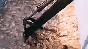 식약처 직원 “옛날로 치면 中의 속국” 발언 물의