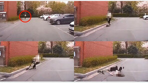 “킥보드 타던 女, 차 보고 놀라 넘어져”…차량 잘못인 이유는