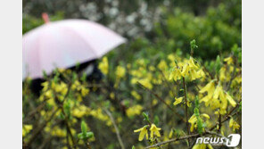 [날씨]‘청명’에 최대 60㎜ 비…오후쯤 대부분 그쳐