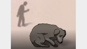 손가락 물려서…강아지 죽인 20대, 벌금 300만원