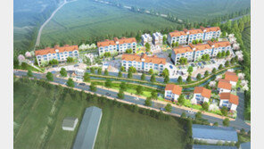 평택미군기지 3분 거리 고급 빌리지타운 