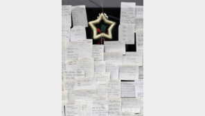 [고양이 눈]신청곡