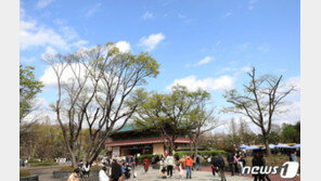 [날씨]6일 아침저녁 ‘쌀쌀’ 낮 ‘포근’…일교차 15도 안팎 주의