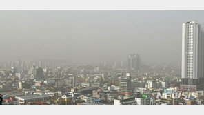 황사·미세먼지에 꽃가루까지…봄철 ‘호흡기 주의보’