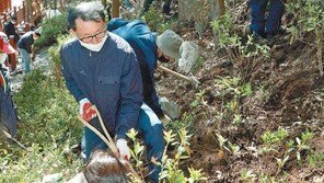 식목일 나무 심기