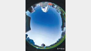 티없이 푸른 하늘… 코로나도 사라졌으면