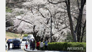 [날씨]아침엔 ‘쌀쌀’, 낮엔 ‘포근’…일교차 15도 이상 커