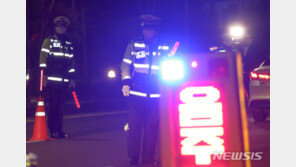 돌연 차에서 내려 덩실덩실 막춤…알고보니 음주운전