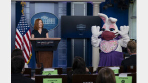 백악관 브리핑서 ‘깡총’… 부활절 기념 ‘이스터 버니’ 깜짝 등장