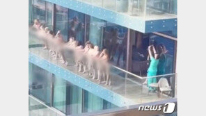두바이서 단체로 발가벗고 ‘찰칵’한 여성들 정체 밝혀졌다
