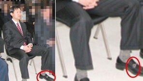 드디어 찾았다는 ‘오세훈 페라가모’, 커다란 말발굽 맞지만 색깔이…