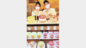 ‘알록달록’ 과일 생크림 케이크