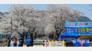 강원도, 봄 축제 줄줄이 취소에 상인들 ‘울상’