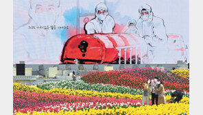  “의료진에 감사” 영상 장식한 에버랜드 튤립가든