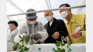 발달장애 일터 ‘푸르메소셜팜’ 완공기념 모종심기 행사 열려