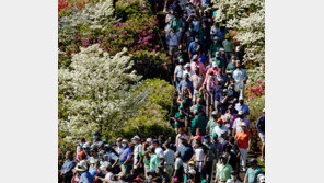 구름 인파 vs 거리 두기… 극과 극 관중석