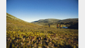 피엘라벤 “스웨덴 지속가능 브랜드 의류&패션 산업-브랜드 분야 1위 선정”