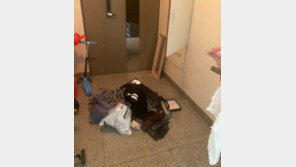 月400만원 주고 보모 들였더니…아이는 안 돌보고 도둑질만