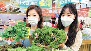 “푸릇푸릇한 봄나물이 한가득”