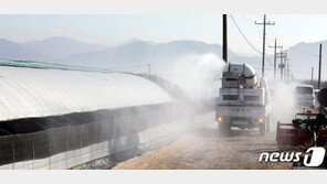 철새 북상했는데…조류인플루엔자 바이러스 계속 검출 배경은