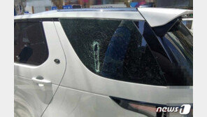 술취해 정육도구로 차량 유리창 박살내고 배회…30대 검거