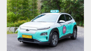 카카오·마카롱 등 브랜드 택시요금 다양해진다…8일부터 ‘요금 자율신고제’ 도입