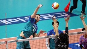 ‘알렉스 트리플크라운’ 우리카드, 첫 챔프전 진출 ‘대한항공 나와라’