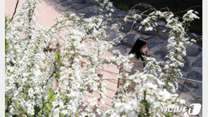 [날씨]8일 아침 출근길 5도 내외 ‘쌀쌀’…낮은 15도 이상 올라