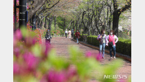 미세먼지 없는 포근한 봄날…내륙 곳곳 건조주의보