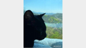 박수홍, 다홍이 SNS 재개…“걱정 많이 했다” 누리꾼 응원