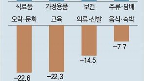코로나에 지갑 닫아… 가계지출 최대폭 감소