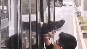 “어딜 도망가” 中 버스 안 성추행범 검거 대작전 (영상)