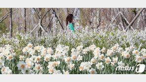 [날씨] 토요일 전국 낮 기온 15도 이상 ‘따뜻’…큰 일교차 대비해야
