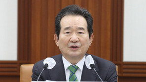 丁총리, 11~13일 이란 방문…‘韓선박 석방’ 후 관계 증진 논의