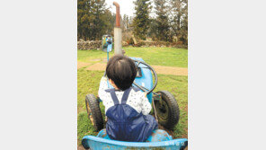 [고양이 눈]꼬마 운전사