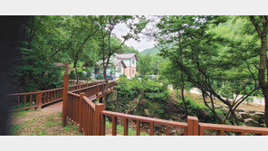 낮엔 꽃구경 밤엔 별구경 올봄 가족여행은 여기!