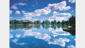 서동요 전설 깃든 부여 ‘궁남지’ 황홀한 풍광에 관광객 북적 