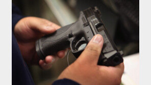 세살 아이가 쏜 총에 생후 8개월 동생 숨져…美 총기비극