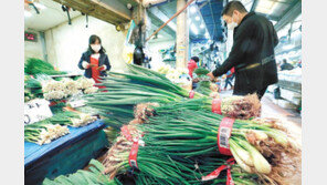 1년새 3배 넘게 오른 대파