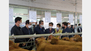 보령가축경매시장, 연말까지 상수도 인입공사