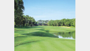 수도권 골프장 30곳 이용 가능한 무기명 회원권