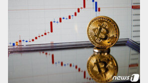 ‘코인 때문에 출렁출렁’…동학·서학개미 모두 애탄다