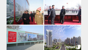 “평양에 희한한 거리솟네”…1만 세대 살림집 ‘10행시’에 눈길