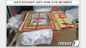 “골판지 사이까지” 마약류 밀수 6명 구속·10명 불구속