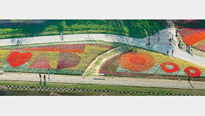 튤립 24만 송이로 만든 꽃그림