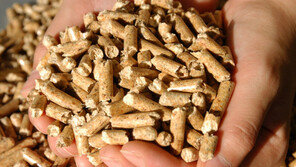 국내 산림자원의 지속가능한 에너지 이용 방향은?