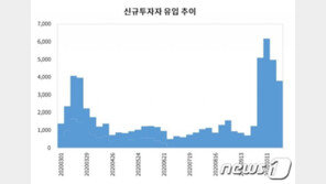 작년 3~10월 초보개미 수익률 -1.2%…기존 개미는 15%