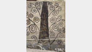 [고양이 눈]인식의 전환