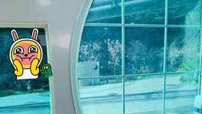 용변 모습이 밖에서 훤히~유명 관광지 男화장실 논란